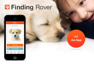 Finding Rover te ajuta sa iti gasesti cainele pierdut item-thumbnail
