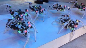 Paianjenii robotici vor putea fi controlati cu ajutorul unei bratari inteligente item-thumbnail